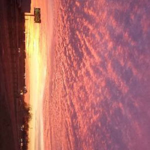 Meet your Posher, Adrian